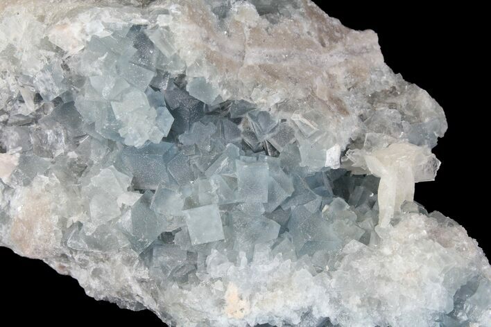 Blue, Cubic Fluorite Crystal Cluster - New Mexico #100986